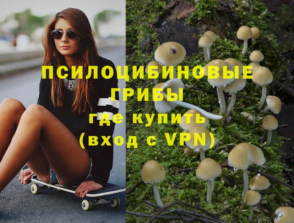 ECSTASY Алзамай
