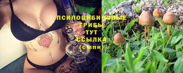 ECSTASY Алзамай