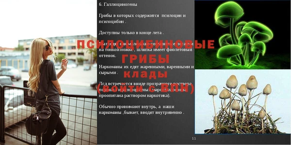 jwh Алексин