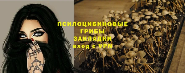 ECSTASY Алзамай
