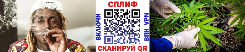наркота  Москва  Конопля планчик 